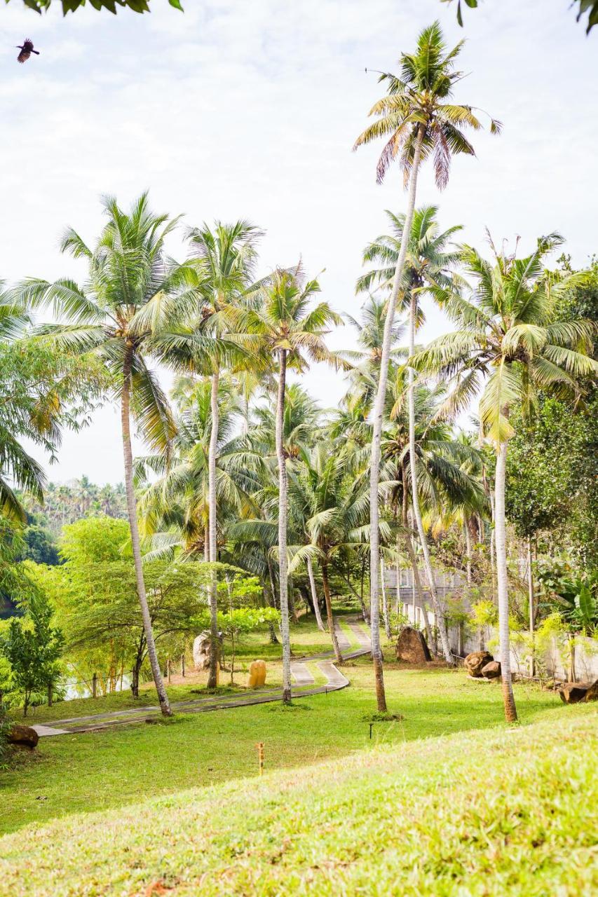 Mekosha Ayurveda Spa Suites Retreat & Resort Attingal Exterior photo